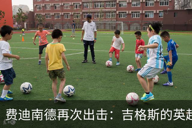 费迪南德再次出击：吉格斯的英超冠军应该是14个！