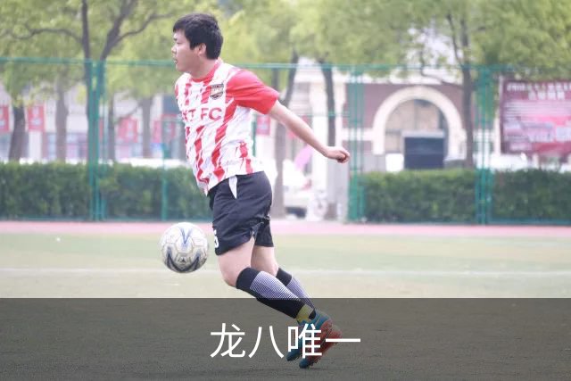 龙八唯一公司简介图片